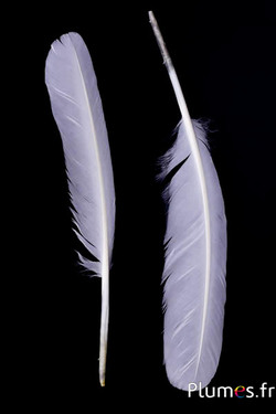 Cygne - 30-33 cm - blanc